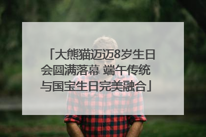 大熊猫迈迈8岁生日会圆满落幕 端午传统与国宝生日完美融合