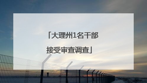 大理州1名干部接受审查调查