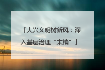 大兴文明树新风：深入基层治理“末梢”