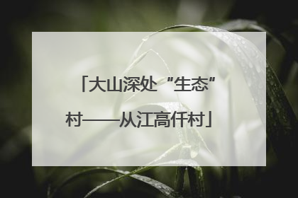 大山深处“生态”村——从江高仟村