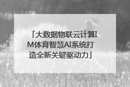 大数据物联云计算IM体育智慧AI系统打造全新关键驱动力