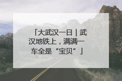 大武汉一日｜武汉地铁上，满满一车全是“宝贝”