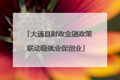 大通县财政金融政策联动稳就业促创业