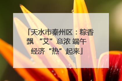天水市秦州区：粽香飘 “艾”意浓 端午经济“热”起来