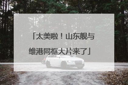 太美啦！山东舰与维港同框大片来了