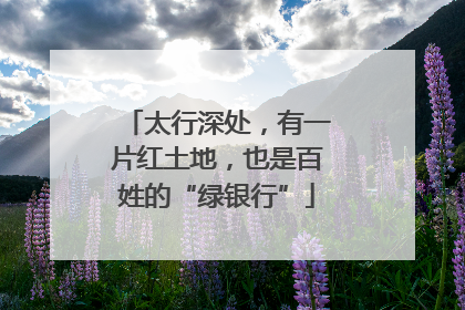 太行深处，有一片红土地，也是百姓的“绿银行”
