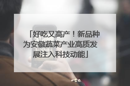 好吃又高产！新品种为安徽蔬菜产业高质发展注入科技动能