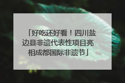 好吃还好看！四川盐边县非遗代表性项目亮相成都国际非遗节