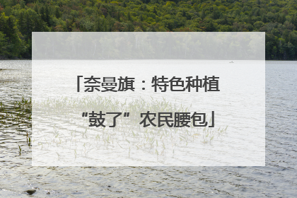 奈曼旗：特色种植“鼓了”农民腰包