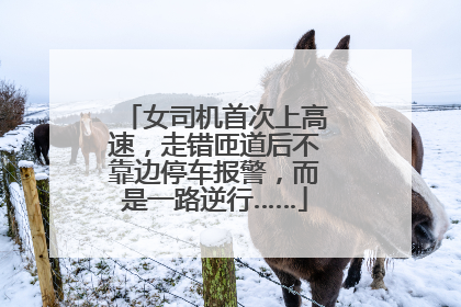 女司机首次上高速，走错匝道后不靠边停车报警，而是一路逆行……