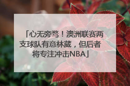 心无旁骛！澳洲联赛两支球队有意林葳，但后者将专注冲击NBA