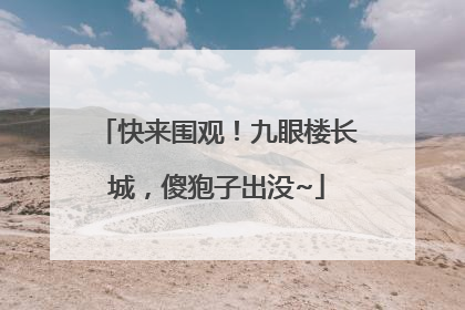 快来围观！九眼楼长城，傻狍子出没~
