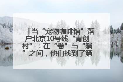 当“宠物咖啡馆”落户北京10号线“青创村”：在“卷”与“躺”之间，他们找到了第三种生活公式