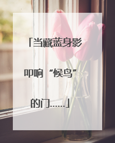 当藏蓝身影叩响“候鸟”的门……