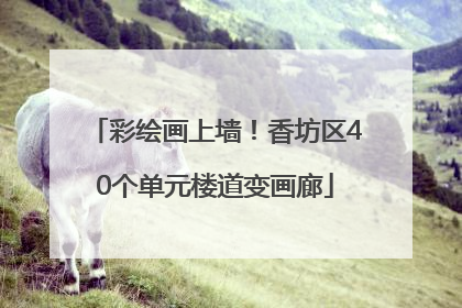 彩绘画上墙！香坊区40个单元楼道变画廊