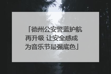 德州公安警蓝护航再升级 让安全感成为音乐节最强底色