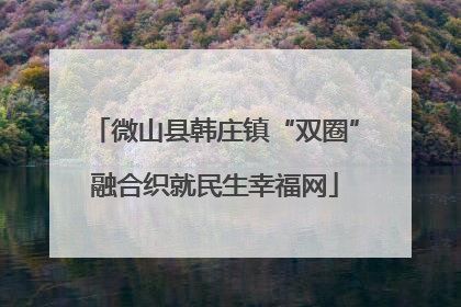微山县韩庄镇“双圈”融合织就民生幸福网