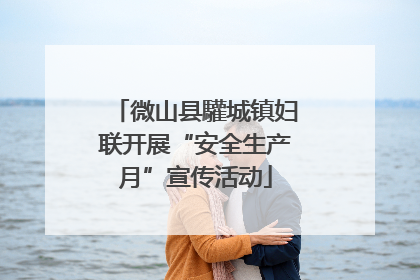 微山县驩城镇妇联开展“安全生产月”宣传活动