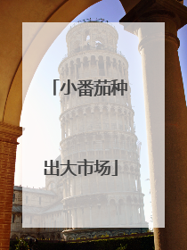 小番茄种出大市场