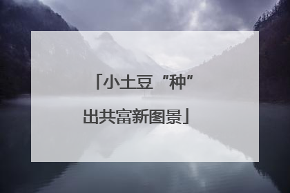小土豆“种”出共富新图景