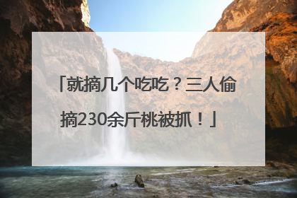 就摘几个吃吃？三人偷摘230余斤桃被抓！