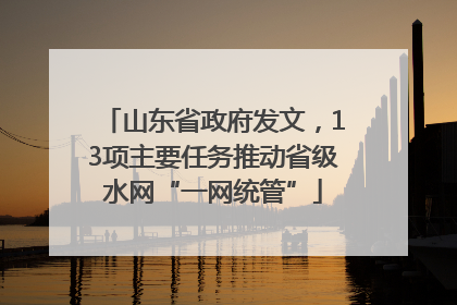 山东省政府发文，13项主要任务推动省级水网“一网统管”
