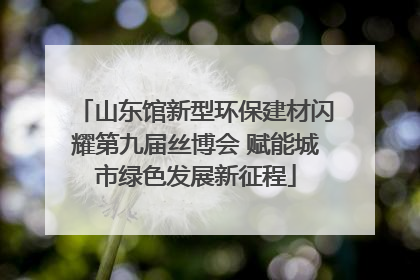 山东馆新型环保建材闪耀第九届丝博会 赋能城市绿色发展新征程
