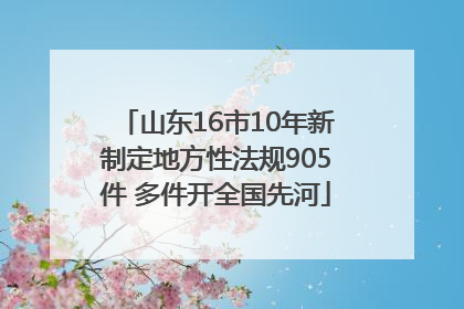 山东16市10年新制定地方性法规905件 多件开全国先河