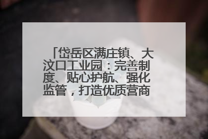 岱岳区满庄镇、大汶口工业园：完善制度、贴心护航、强化监管，打造优质营商“强磁场”