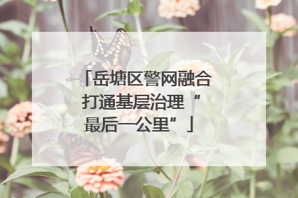岳塘区警网融合 打通基层治理“最后一公里”