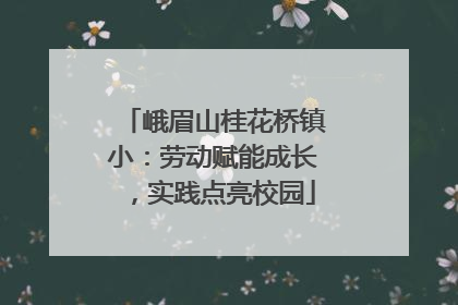 峨眉山桂花桥镇小：劳动赋能成长，实践点亮校园