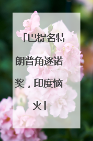 巴提名特朗普角逐诺奖，印度恼火