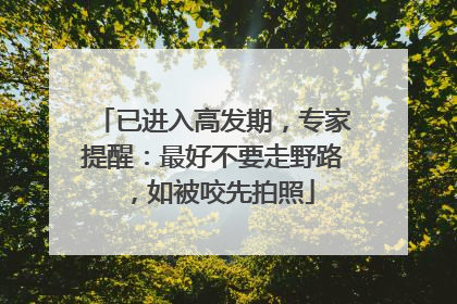 已进入高发期，专家提醒：最好不要走野路，如被咬先拍照