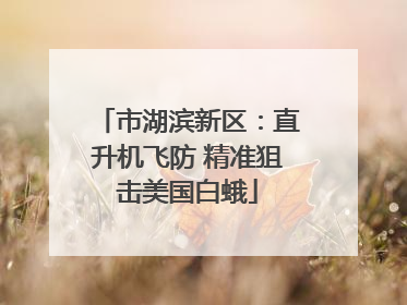 市湖滨新区：直升机飞防 精准狙击美国白蛾