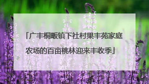 广丰桐畈镇下社村果丰苑家庭农场的百亩桃林迎来丰收季