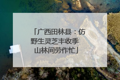 广西田林县：仿野生灵芝丰收季 山林间劳作忙