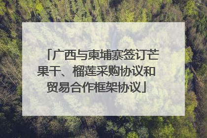 广西与柬埔寨签订芒果干、榴莲采购协议和贸易合作框架协议