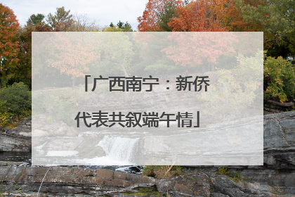 广西南宁：新侨代表共叙端午情