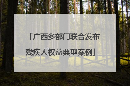 广西多部门联合发布残疾人权益典型案例