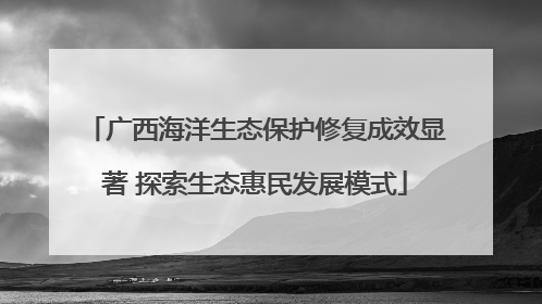 广西海洋生态保护修复成效显著 探索生态惠民发展模式