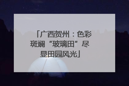 广西贺州：色彩斑斓“玻璃田”尽显田园风光