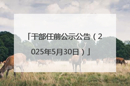 干部任前公示公告（2025年5月30日）