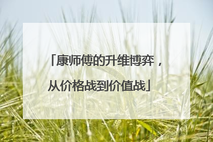 康师傅的升维博弈，从价格战到价值战