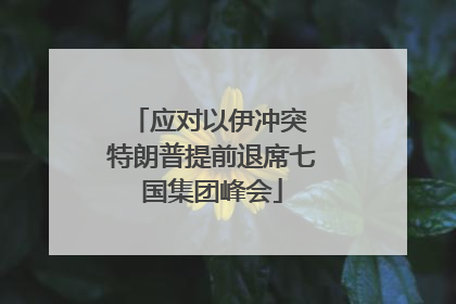应对以伊冲突 特朗普提前退席七国集团峰会