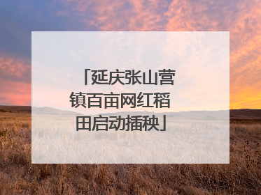 延庆张山营镇百亩网红稻田启动插秧