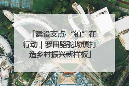 建设支点·“镇”在行动｜罗田骆驼坳镇打造乡村振兴新样板