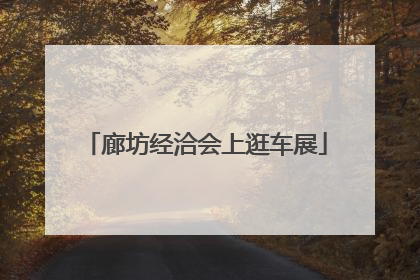 廊坊经洽会上逛车展
