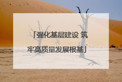 强化基层建设 筑牢高质量发展根基