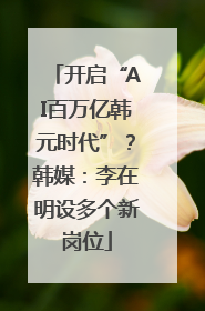 开启“AI百万亿韩元时代”？韩媒：李在明设多个新岗位