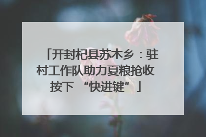 开封杞县苏木乡：驻村工作队助力夏粮抢收按下 “快进键”